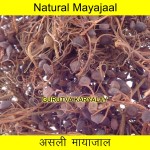 Mantra Siddha Maya Jaal 3.25 Gram 