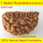 Ek Mukhi Rudraksha 28.90 MM