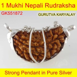 30.07 mm 1 Mukhi Rudraksha In Silver Pendant 