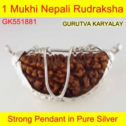 32.50 mm 1 Mukhi Rudraksha In Silver Pendant 