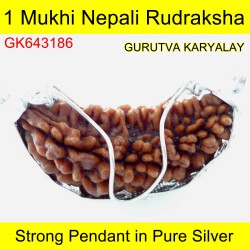 36.46 MM 1 Mukhi Rudraksha In Silver Pendant 