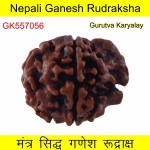 25.57 MM Nepali Ganesha Rudraksh Beads