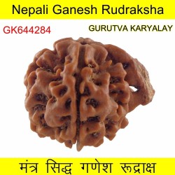 26.29 MM Nepali Ganesha Rudraksh Beads