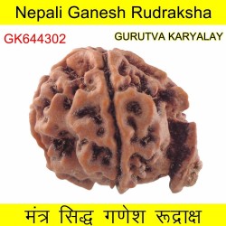 27.28 MM Nepali Ganesha Rudraksh Beads