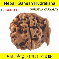 24.85 MM Nepali Ganesha Rudraksh Beads