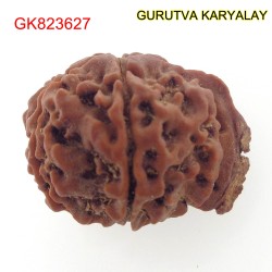 25.39 MM Nepali Ganesha Rudraksh Beads