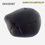 149 Gram Shaligram | Two Chakra Salagrama stone Gandaki River Nepal 