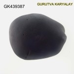 149 Gram Shaligram | Two Chakra Salagrama stone Gandaki River Nepal 