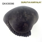 225 Gram Shaligram | Two Chakra Salagrama stone Gandaki River Nepal 