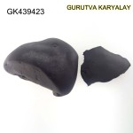 118 Gram Shaligram | Two Chakra Salagrama stone Gandaki River Nepal 
