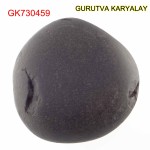 60 Gram Shaligram | Two Chakra Salagrama stone Gandaki River Nepal 