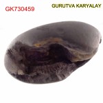 60 Gram Shaligram | Two Chakra Salagrama stone Gandaki River Nepal 