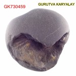 60 Gram Shaligram | Two Chakra Salagrama stone Gandaki River Nepal 