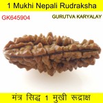36.64 MM Ek Mukhi Rudraksha