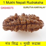 33.94 MM Ek Mukhi Rudraksha