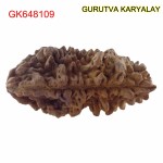 37.59 MM Ek Mukhi Rudraksha