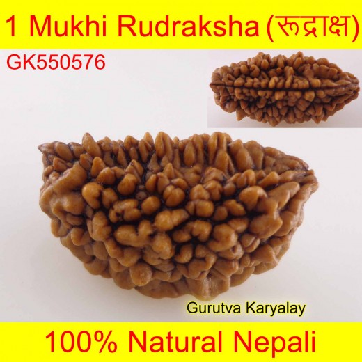 Ek Mukhi Rudraksha 28.72 MM