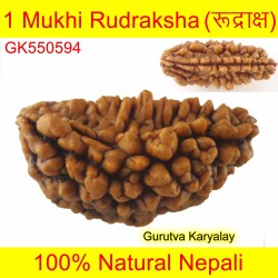 Ek Mukhi Rudraksha 28.37 MM