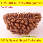 30.61 MM 1 Mukhi Rudraksh One Face Rudraksh