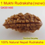 Ek Mukhi Rudraksha 28.90 MM