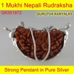 30.07 mm 1 Mukhi Rudraksha In Silver Pendant 