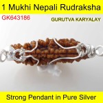 36.46 MM 1 Mukhi Rudraksha In Silver Pendant 