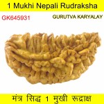 38.26 MM 1 Mukhi Rudraksh One Face Rudraksh