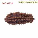 28.72 MM Ek Mukhi Rudraksha