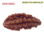 31.85 MM Ek Mukhi Rudraksha