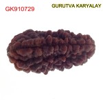 35.34 MM Ek Mukhi Rudraksha