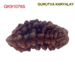 34.28 MM Ek Mukhi Rudraksha