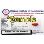 35.23 MM Ek Mukhi Rudraksha