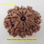 23.04 MM 10 Mukhi Nepali Rudraksha Mantra Siddha