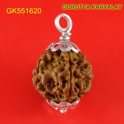 20mm - 5 Mukhi Nepali Rudraksha In Silver Pendant 