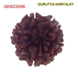 21.34 MM Mantra Siddha Natural 7 Mukhi Nepali Rudraksha