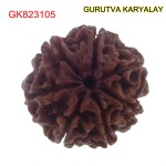22.17 MM Mantra Siddha Natural 7 Mukhi Nepali Rudraksha