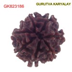 22.10 mm Mantra Siddha Natural 7 Mukhi Nepali Rudraksha