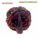 22.97 MM Nepali Ganesha Rudraksh Beads