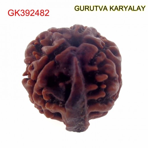 22.97 MM Nepali Ganesha Rudraksh Beads