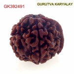 20.90 MM Nepali Ganesha Rudraksh Beads