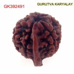 20.90 MM Nepali Ganesha Rudraksh Beads