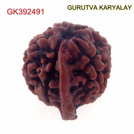 20.90 MM Nepali Ganesha Rudraksh Beads
