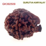 22.02 MM Nepali Ganesha Rudraksh Beads