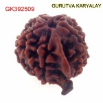 22.02 MM Nepali Ganesha Rudraksh Beads