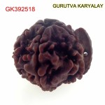 23.74 MM Nepali Ganesha Rudraksh Beads