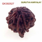 22.04 MM Nepali Ganesha Rudraksh Beads