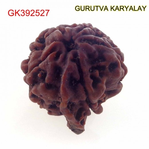 22.04 MM Nepali Ganesha Rudraksh Beads