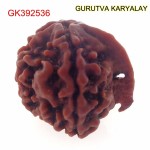 19.72 MM Nepali Ganesha Rudraksh Beads