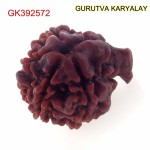 21.47 MM Nepali Ganesha Rudraksh Beads
