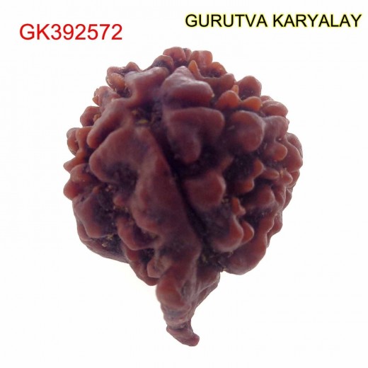 21.47 MM Nepali Ganesha Rudraksh Beads